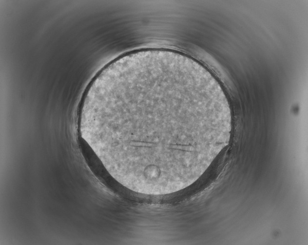 X0000116491284201001201355