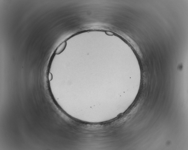 X0000116491285201001201355