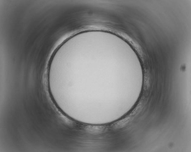 X0000116491286201001201355