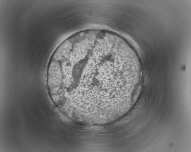 X0000116491287201001201355