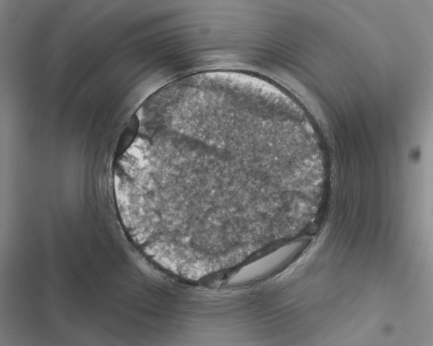 X0000116491289201001201355