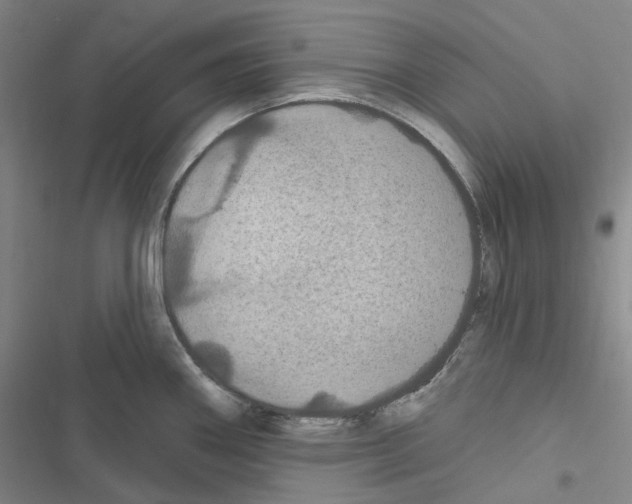 X0000116491290201001201355