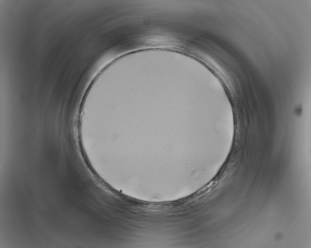 X0000116491291201001201355