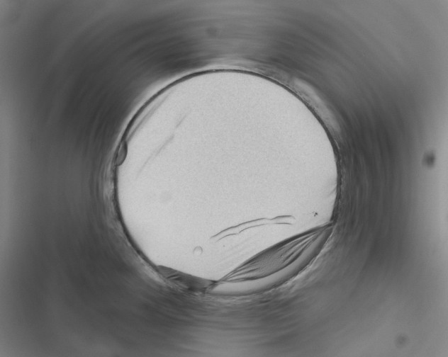 X0000116491292201001201355