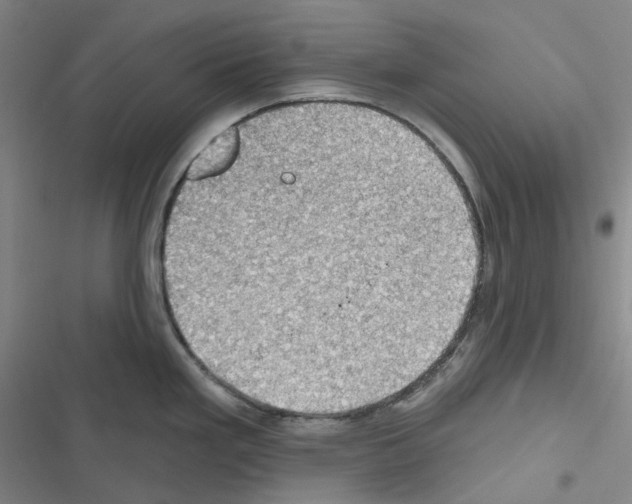 X0000116491293201001201355