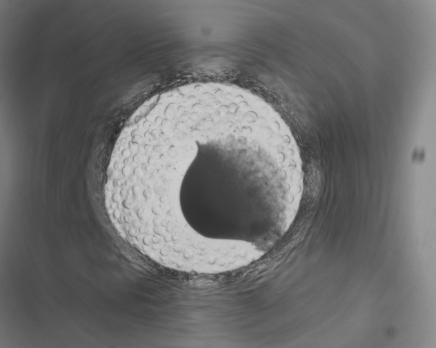 X0000116491297201001201355