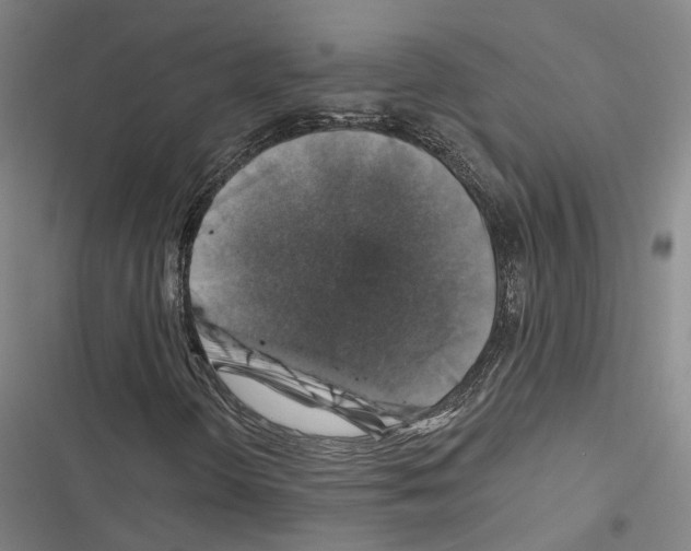 X0000116491298201001201355