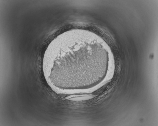 X0000116491301201001201355