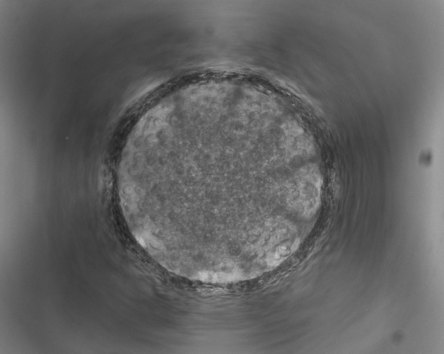 X0000116491302201001201355