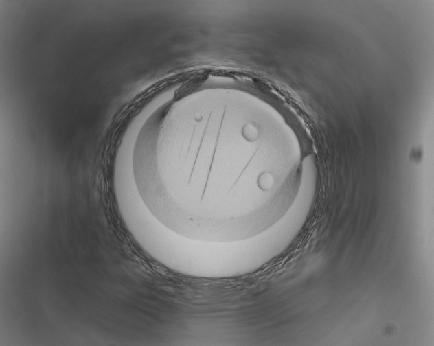 X0000116491303201001201355