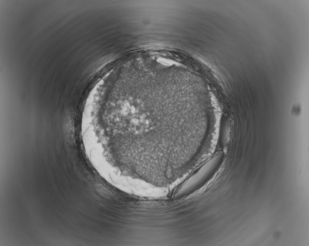 X0000116491305201001201355