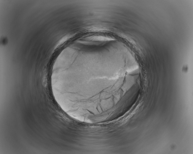 X0000116491306201001201355