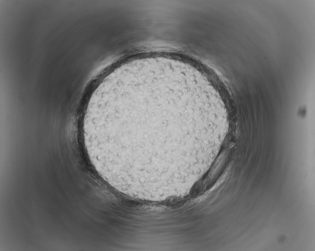 X0000116491309201001201355