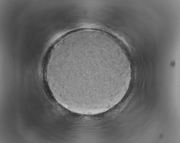 X0000116491311201001201355