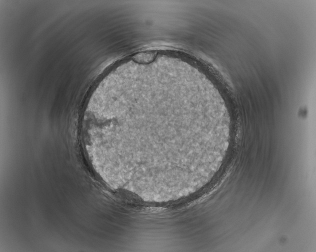 X0000116491313201001201355