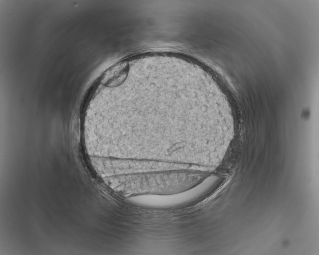 X0000116491317201001201355