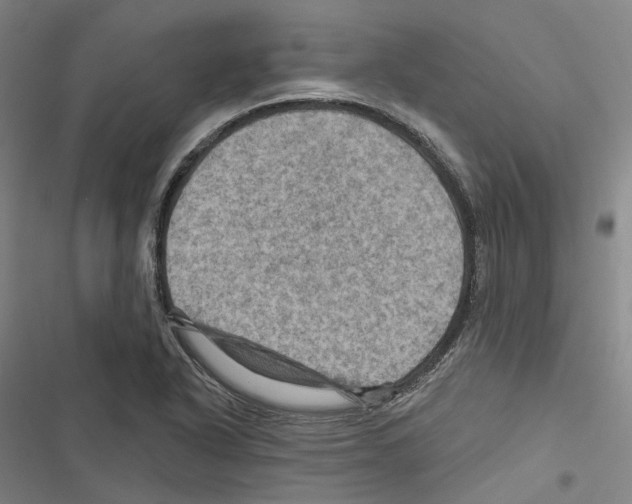 X0000116491318201001201355