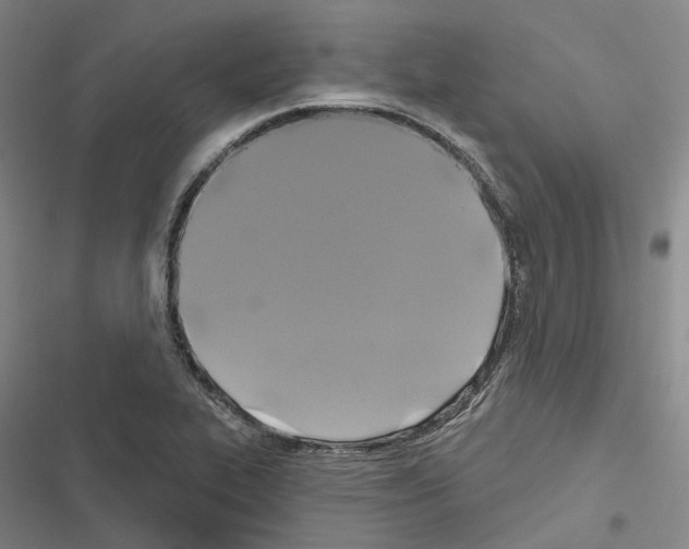 X0000116491319201001201355