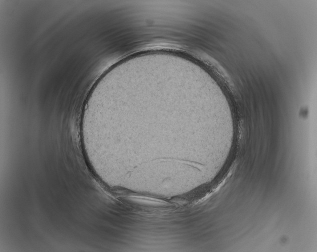 X0000116491321201001201355