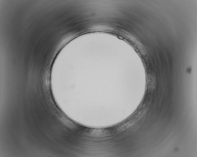 X0000116491322201001201355