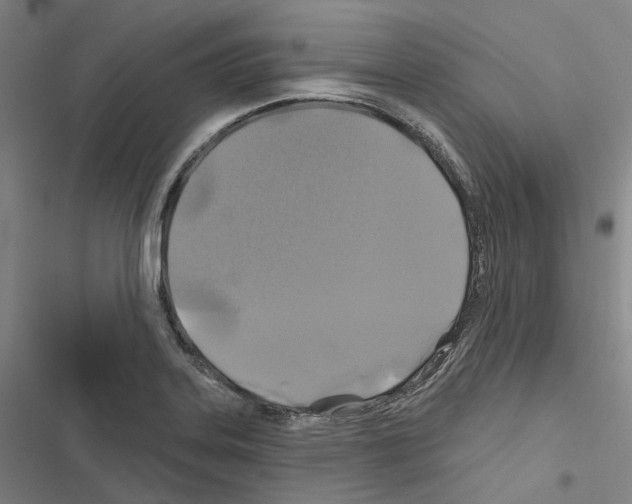 X0000116491323201001201355