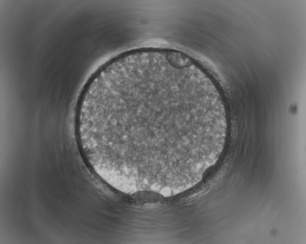 X0000116491326201001201355