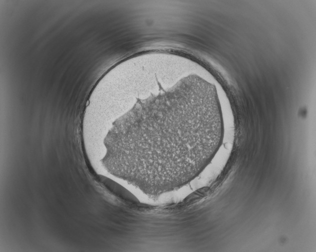 X0000116491329201001201355