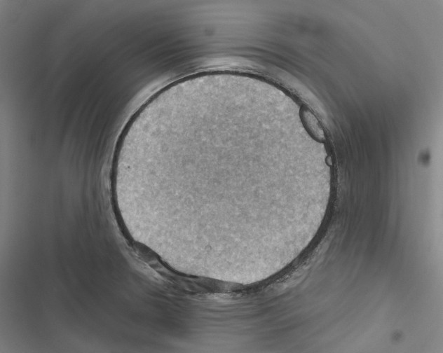 X0000116491330201001201355