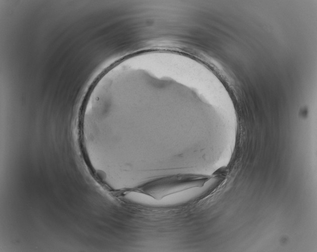 X0000116491331201001201355