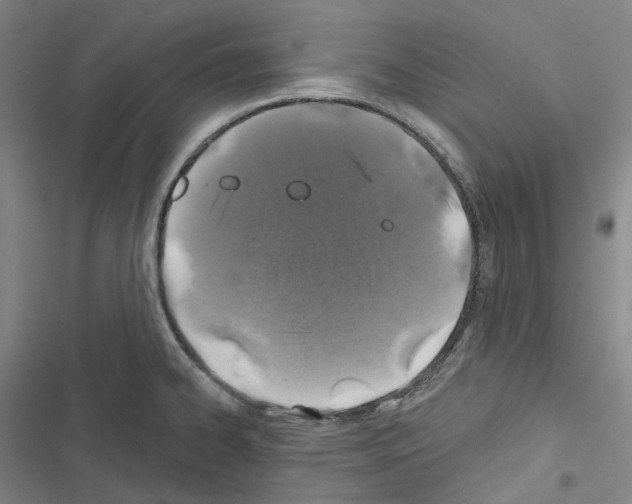 X0000116491334201001201355