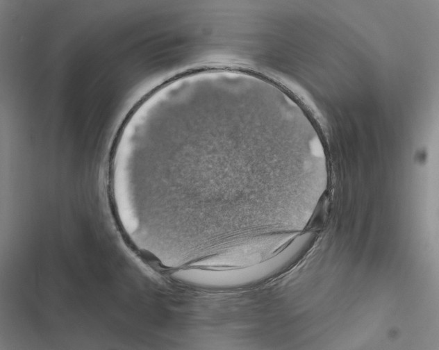 X0000116491335201001201355