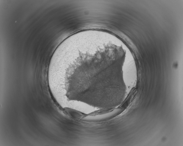 X0000116491337201001201355