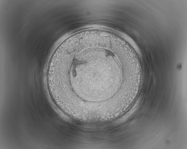 X0000116491338201001201355