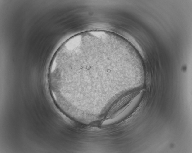 X0000116491339201001201355