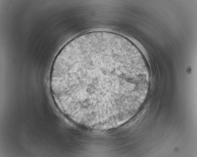 X0000116491341201001201355