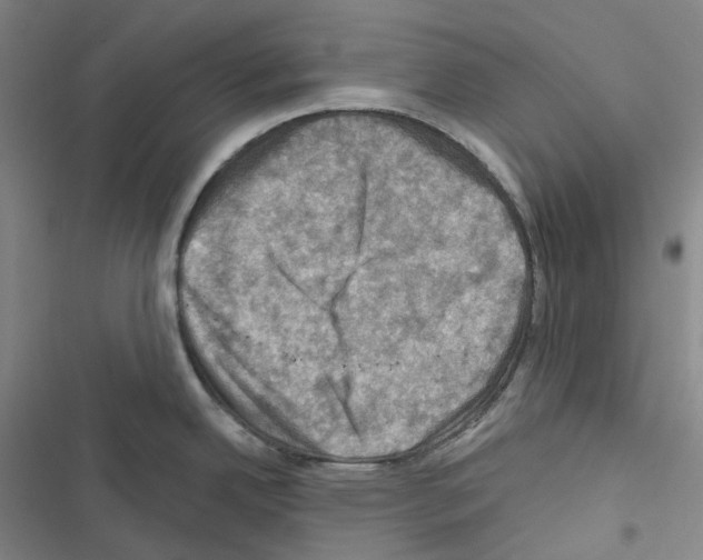 X0000116491342201001201355