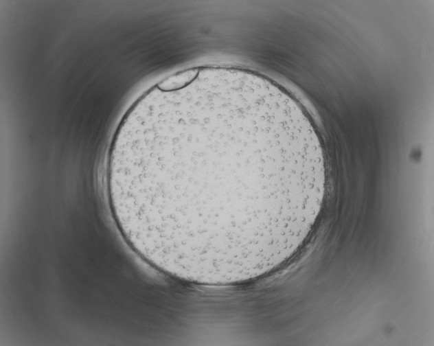 X0000116491343201001201355