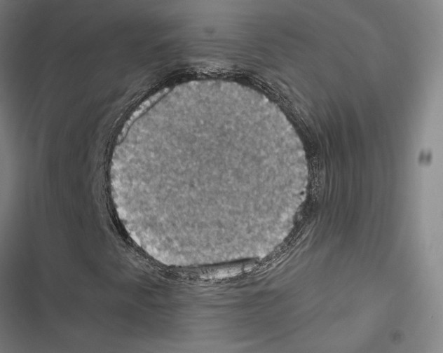 X0000116491345201001201355