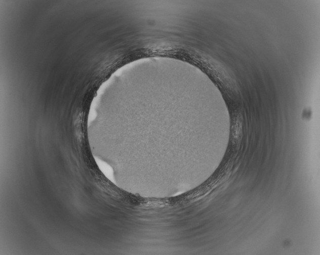 X0000116491346201001201355