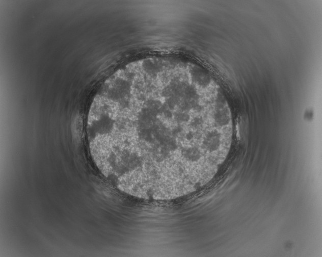 X0000116491347201001201355