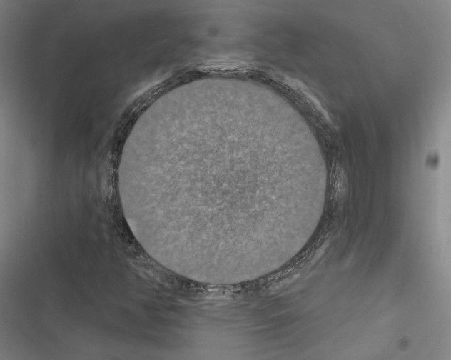 X0000116491350201001201354