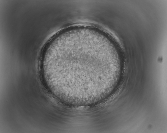 X0000116491352201001201354