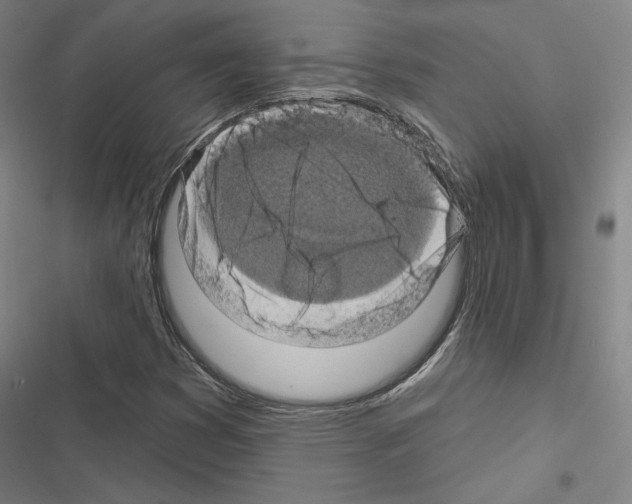 X0000116491353201001201354