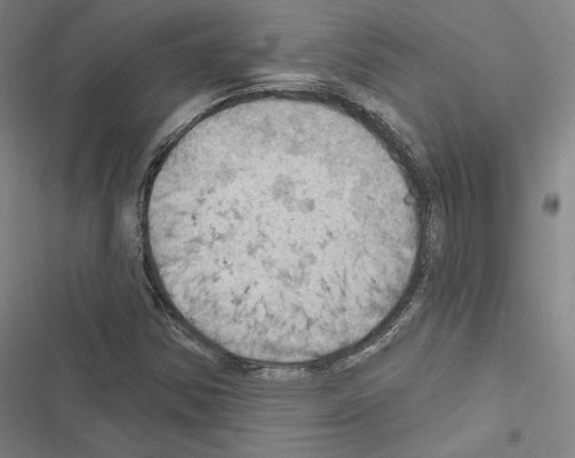 X0000116491354201001201354