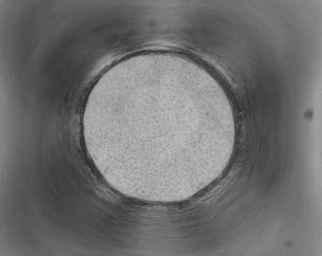 X0000116491355201001201354