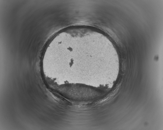 X0000116491356201001201354