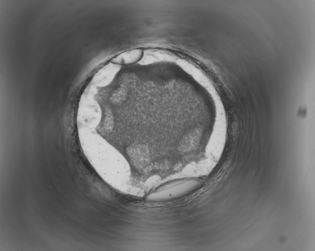 X0000116491359201001201354