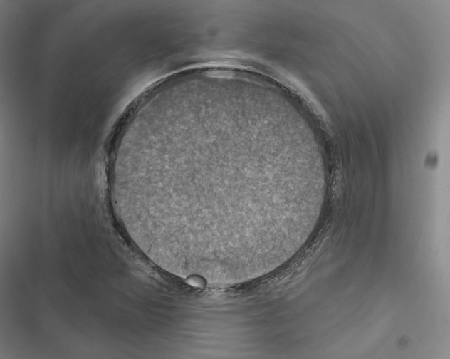 X0000116491360201001201354