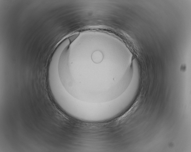 X0000116491361201001201354