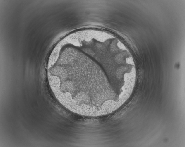 X0000116491363201001201354